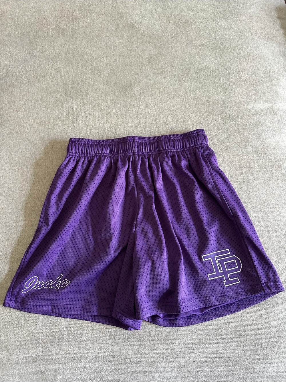 Inaka Power Purple Unisex Mesh Gym Shorts